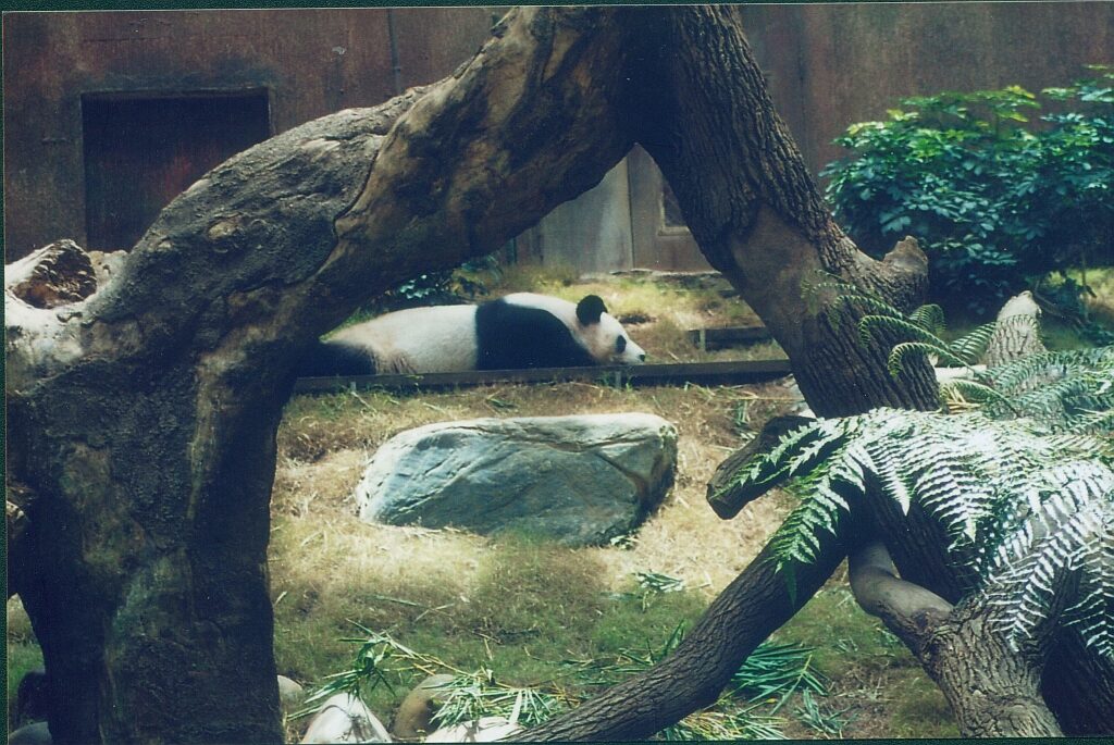 Ocean Park Hong Kong
