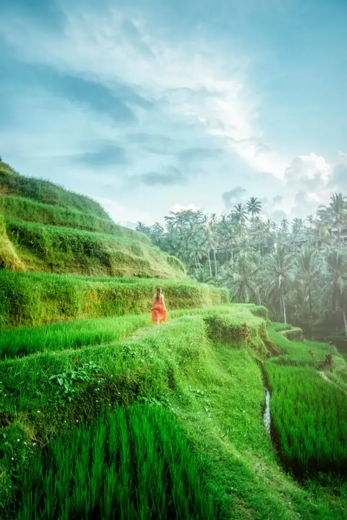 A woman in a flowing dress walking through green rice terraces in Bali.