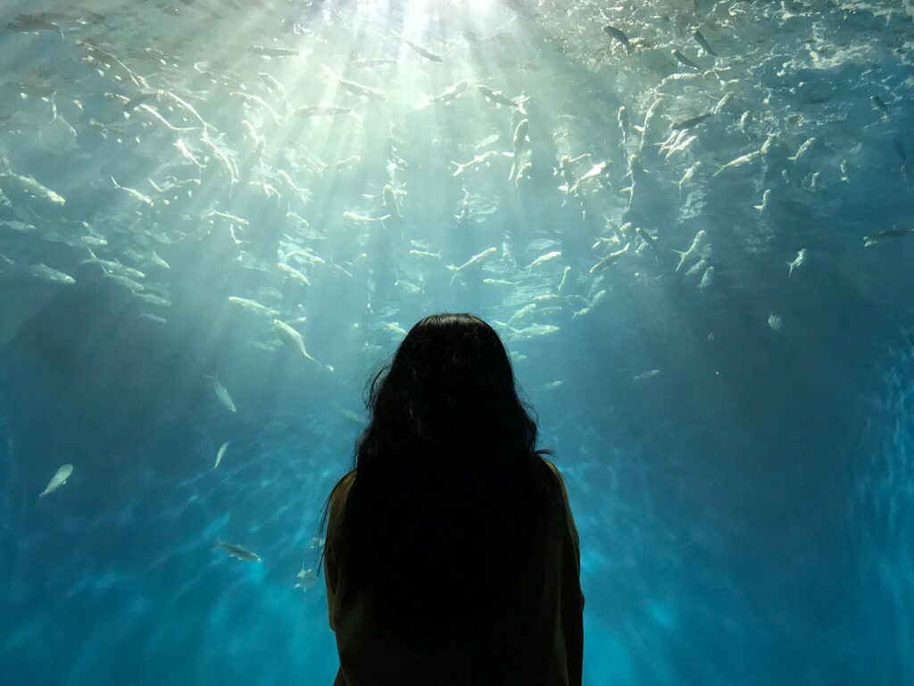 A girl silhouetted against a sunlit aquarium filled with swimming fish.