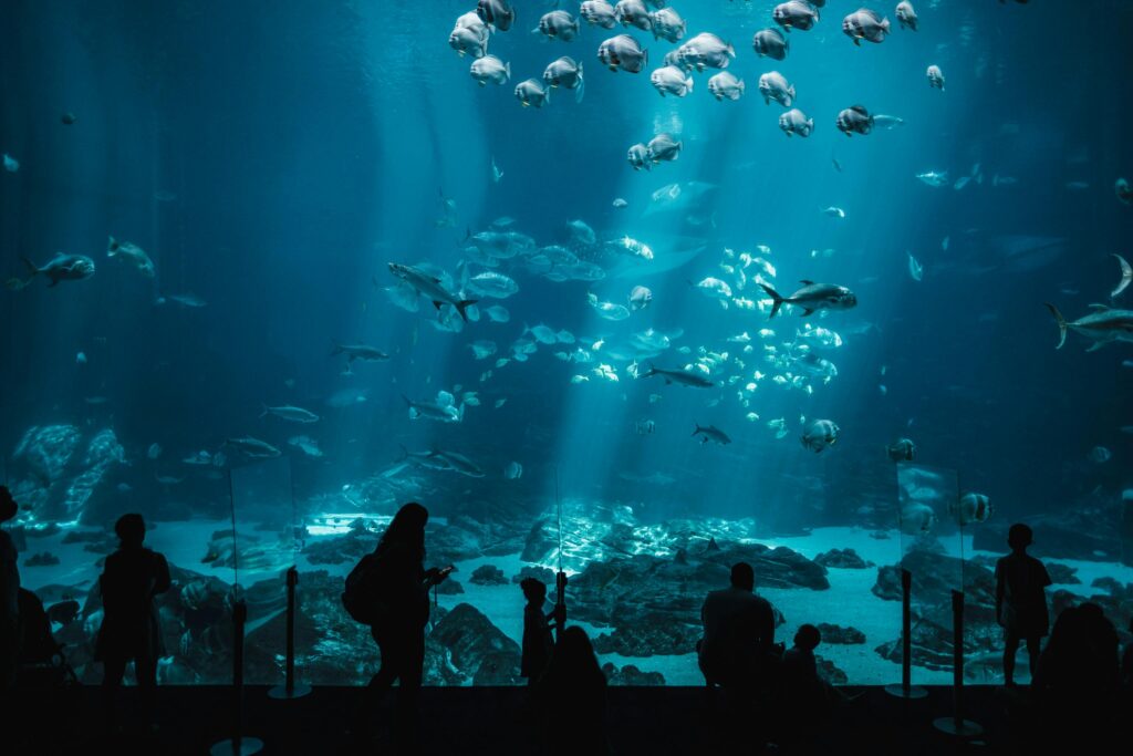 Silhouettes of people admire vibrant marine life in a massive aquarium display, showcasing diverse fish species.