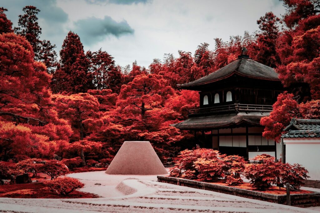 Kyoto in Autumn