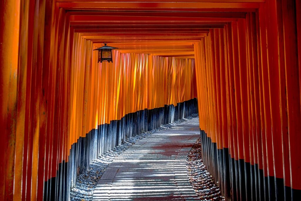 fushimi inari shrine, torii, temple, shinto, torii gates, architecture, oriental, traditional, shrine, heritage, ancient, historic, historical, famous, japanese, asian, kyoto, japan, zoom background, japan, japan, japan, japan, japan
