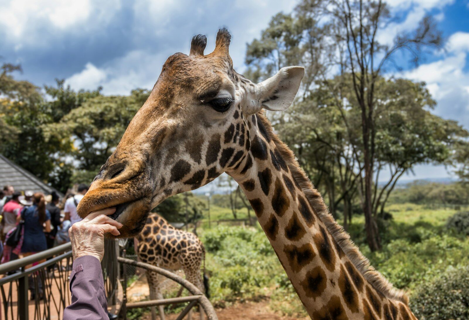 Nairobi Beyond Safari: Why the City Deserves Your Attention